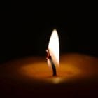 Cultivating Hope in the Darkness by Kelley Grimes at Cultivating Peace and Joy