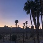 Image of a sunrise in Palm Springs