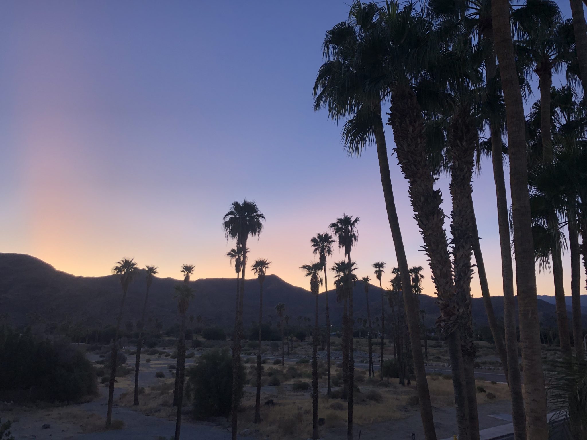 Image of a sunrise in Palm Springs