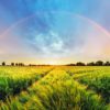 The image of a rainbow over a flourishing field representing balance for Nurturing Balance blog by Kelley Grimes